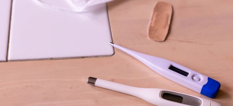 フランスが築く医療とワクチン先進社会予防で守る共生の哲学 フランスが築く医療とワクチン先進社会予防で守る共生の哲学